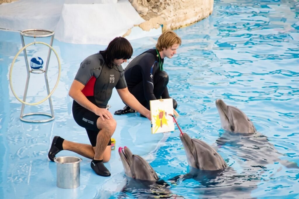 delfinarium Hurghada