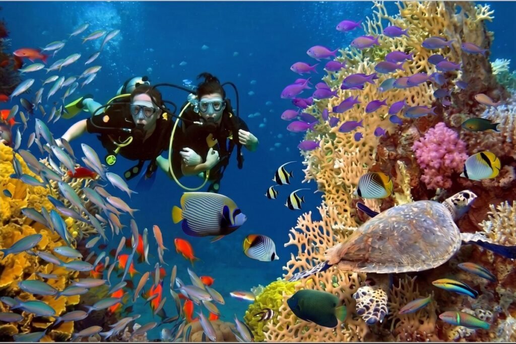 Potápění Hurghada
