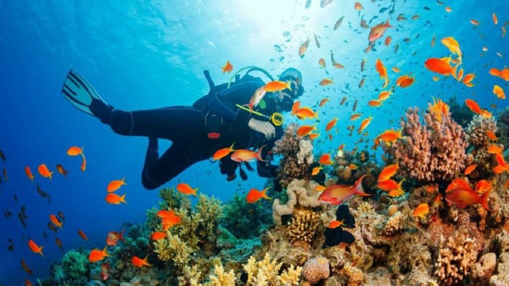 potápěčsky centrum Hurghada potapeni Hurghada