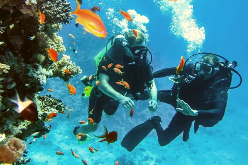 diving podmořský svět Rudého moře potapeni egypt