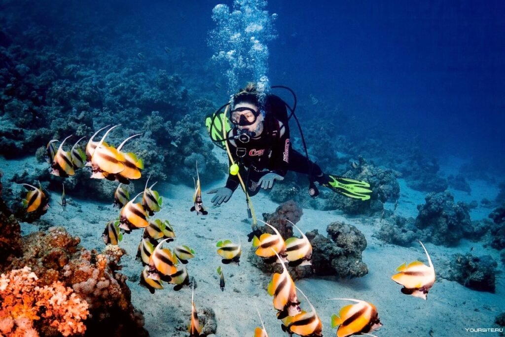 ponor potapeni Hurghada