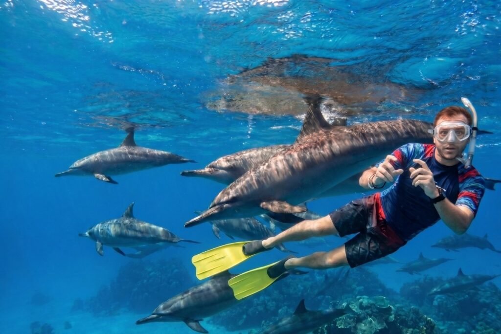 dum delfinu Hurghada