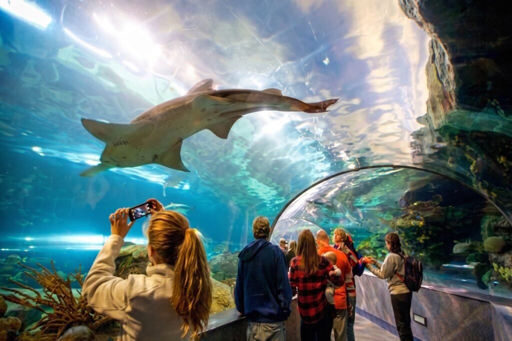 grand aquarium hurghada