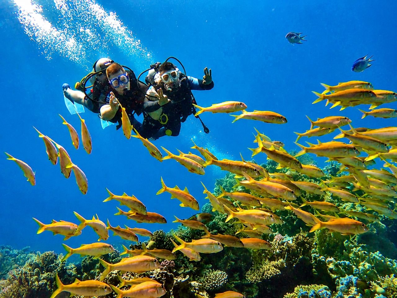 Potápění v Hurghadě (Diving Hurghada)