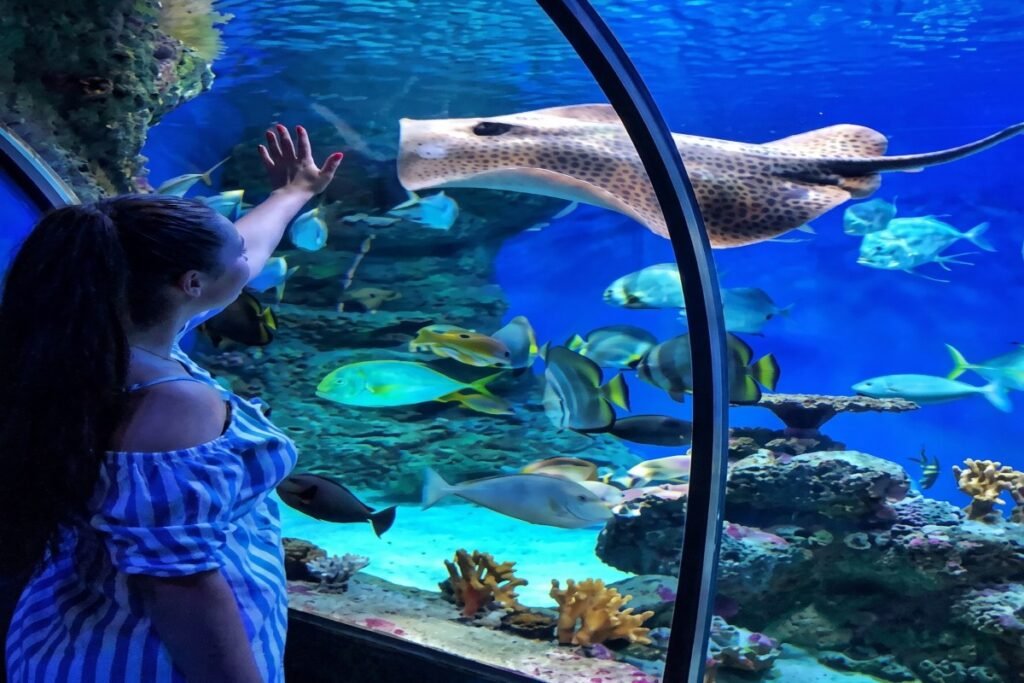 hurghada grand aquarium (1)